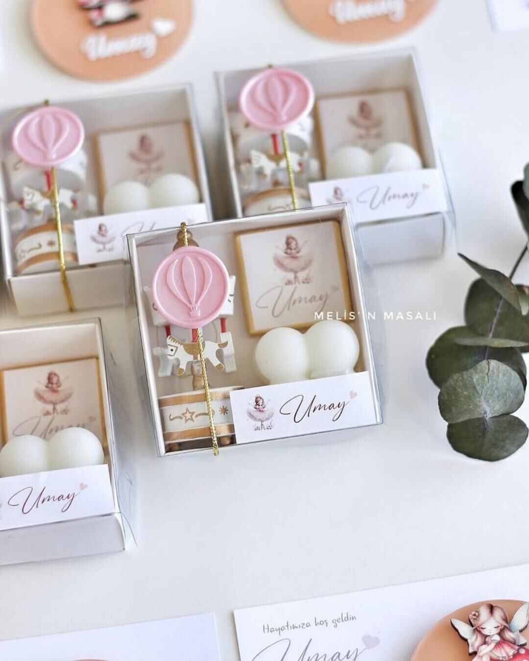 Kutulu Atlı Karınca Hediyelik